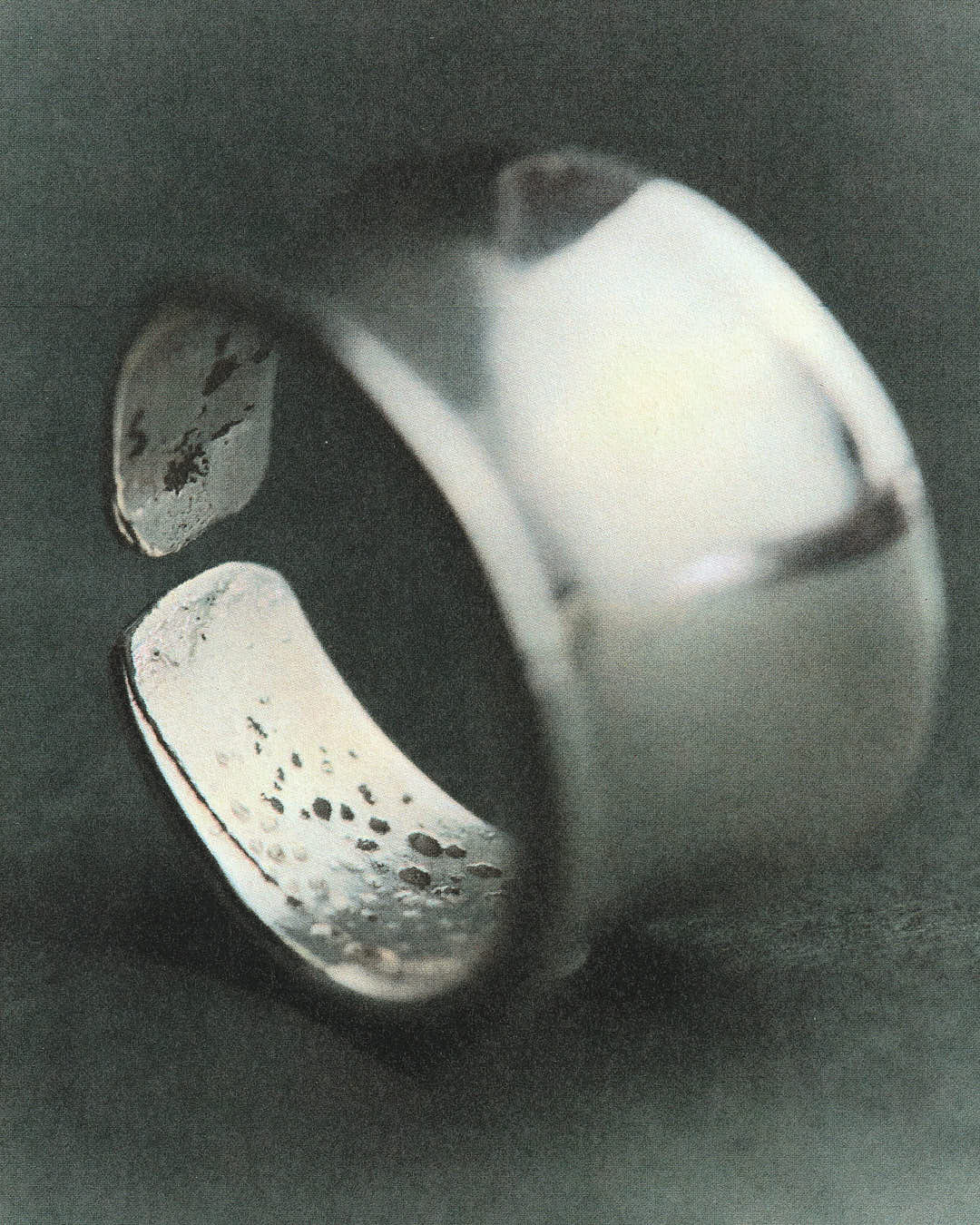 Bellarmina's Ring