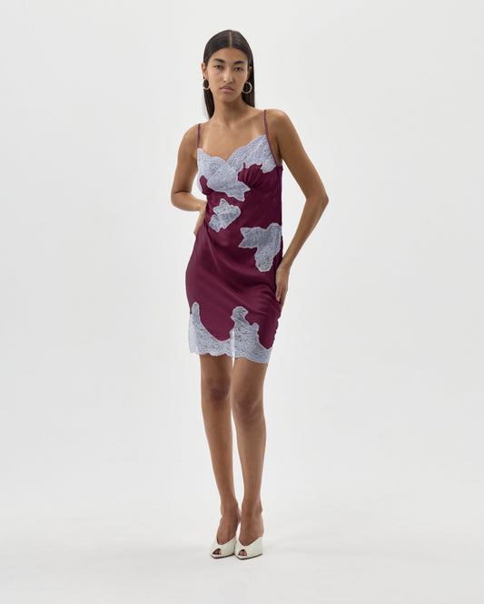 SIGNATURE LACE MINI DRESS - PRE ORDER FRIENDS AND FAMILY