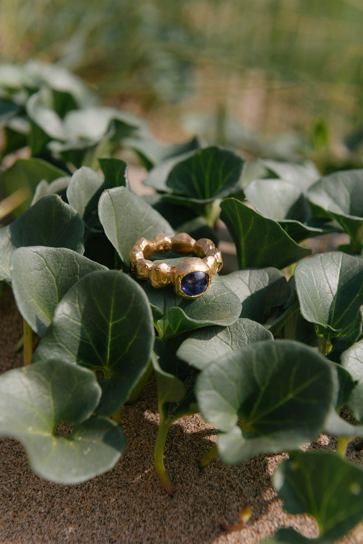 lodo ring gold iolite details